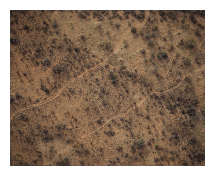  Traces of migration like these can be seen all over the desert. The track to the north is made by vehicles, probably United States Border Patrol and local farmers, the smaller track to the south and those that branch off from it will be used by cattle and migrants.&nbsp; 